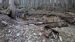 1K views · 53 reactions | Join us as we take you on a full tour as we...