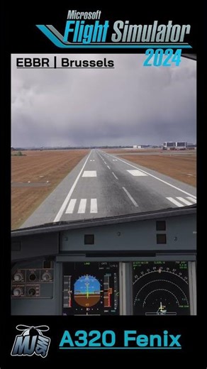 Microsoft Flight Simulator 2024 | 🙃 Brussels goog landing | A320 Fenix🙃 #mfs2024