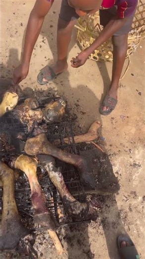 Cook like chef - No kitchen