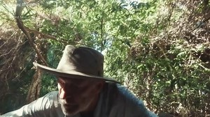 24K views · 104 reactions | Phillip Schofield blames his BROTHER for ITV sacking - savage! | The Sun | Facebook