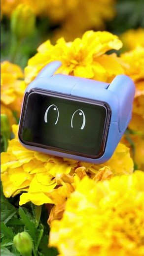 Say hello to the all new Ortomi Umi!