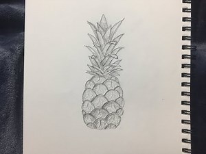 pineapple sketch tutorial/draw with me