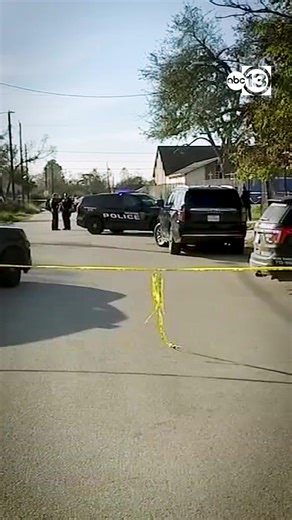 Houston police say officers responding to a report of a suspicious person with a weapon on Wayne Street in the Kashmere Gardens area fatally shot a 29-year-old man after he raised a weapon, according to authorities. Investigations are underway. | ABC13 Houston