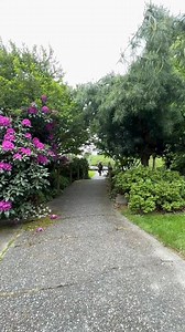 14 reactions | New and returning students can register now: https://southseattle.edu/steps-enroll/admissions-application | South Seattle College | Facebook