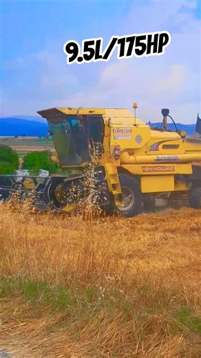 N.Holland 8080 CLAYSON on Barley Harvest action!!!!