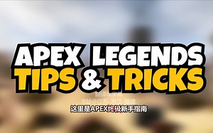 [中文字幕] 【APEX LEGENDS】终极新手指南