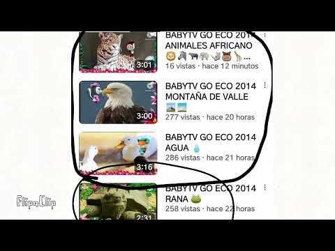 FLASHCARDS BABYTV GO ECO