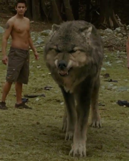 Team Jacob vs. Team Edward Was Never About Love - It Was About THIS