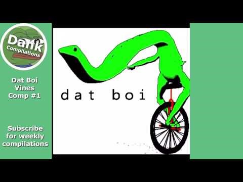 DATBOI ultimate vine compilation