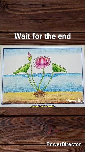 How to Draw Lotus Plant Easy 🌸 | School Project Drawing #LotusPlantDrawing #NationalFlower #Shorts