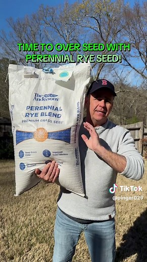 Andersons Perennial Rye Blend Grass Seed Review