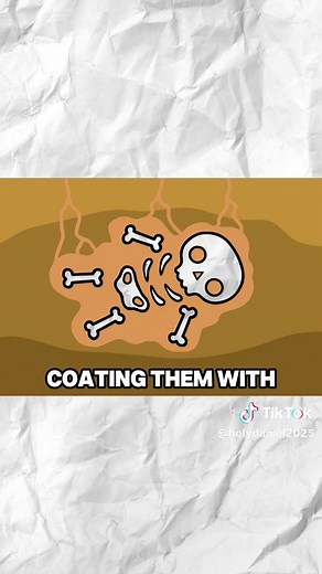 Every Way You Can Be Fossilized Explained animated explanation of fossilization processes, permineralization, amber, carbonization, and trace fossils. #fossils #science #animation #explained #education