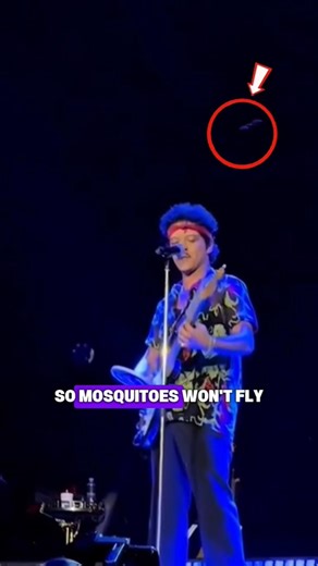 The Electric Racket That Annihilates Mosquitoes! lu