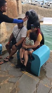 389K views · 1.1K reactions | I can't stop laughing | Creative T-Shirt Ideas | Facebook