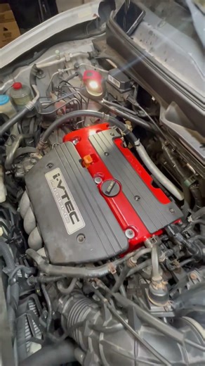 Element Engine Bay Extra Fast