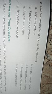 Give two examples of each of the following.a. Tap root system... | Filo