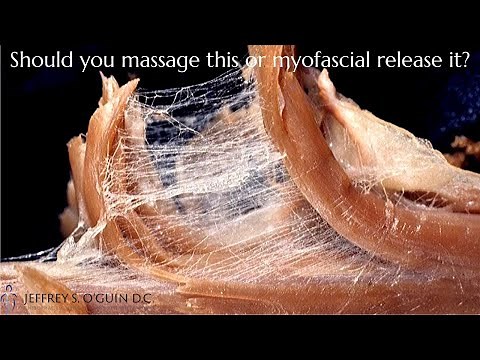 Myofascial release vs. massage [St. Louis chiropractor explains fascia]