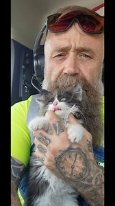 Nearly crushed by a bulldozer 😰 this kitten was saved at the last second! Rescued from a landfill full of dangerous equipment and predators 😱 little miss Sadie is lucky to be alive 🙏 Not all heroes wear capes, this one wears a neon tshirt, overalls and a headset 🎧👷‍♂️🏗️🚧😻 #hero #cape #cat #kitten #rescue #landfill #bulldozer #fyp | Cats & Company