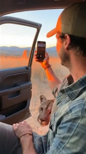 Version 9 (Almost Didn’t See It)