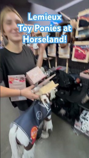 Miniature ponies at Horseland! These are so realistic!!! #horseland #horse #lemieux