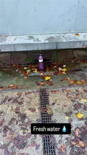 Fresh water from the spring #fountainofyouth #freshwater #fyp #bratislava #slovakia