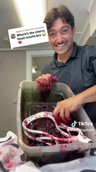 Replying to @Owen D PT. 2 using black cherries to dye a lacrosse head 🍒 Which household item should I try next?? #Thestringshark #workofshark #lacrosse