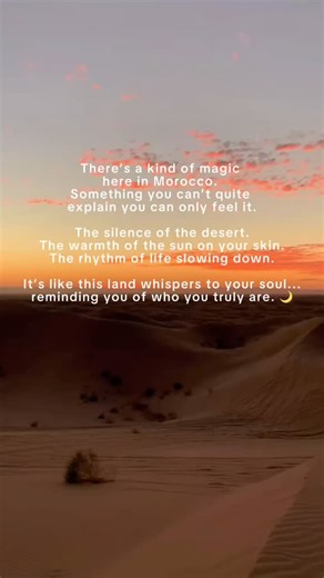 Life in the Netherlands moves fast.�It’s full of noise,...