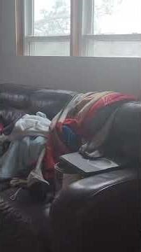 This Room Was a DISASTER… Wait for the Transformation 🤯