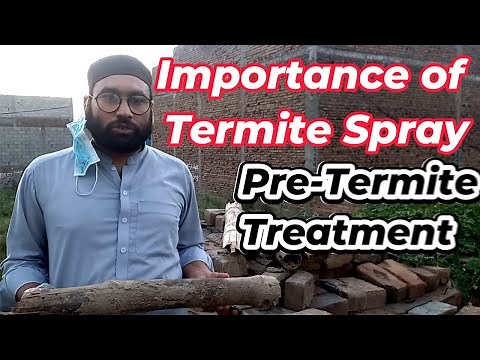 Termite Treatment for Building Foundation | Method of Pre Construction Termite Treatment |