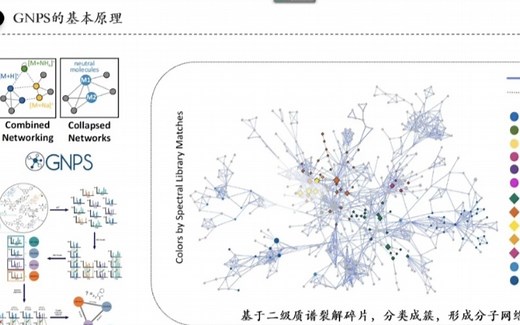 GNPS分子网络的详细步骤！