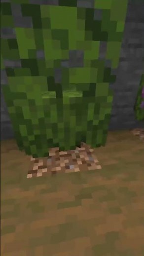 How to build good looking hedges in Minecraft! #minecraft #howto #hedges #shorts