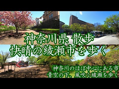 ( 4K ) 神奈川県 散歩 快晴の綾瀬市を歩く ~ 神奈川県のほぼ中心にある街 ~ ( Walk Ayase )