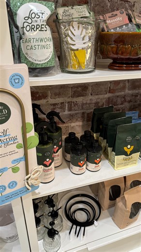 Have you battled powdery mildew before? Save this video for tips on how to prevent it in the future! 🪴 | Emerald Design