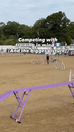 This weekend was our very first competition back in the UK since May (also @iconixagility 😁) and Suvie's very first run of the day. I was really focused on what I wanted to see: us getting our feet and paws together in competition, and maintaining criteria where I can 😁 When she did a higher than expected hit on the Dog Walk I quickly decided to repeat the down plank to the tunnel. If our dogs see one set of rules in training and another in competition, the pictures don’t match. That’s how we 