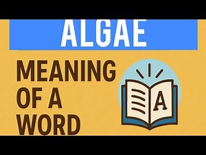 Algae Meaning & Pronunciation | WordWise
