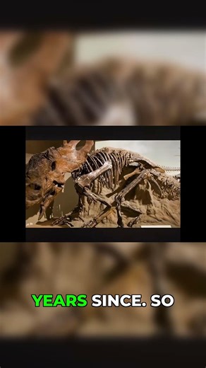 Dinosaurs vs. Humans: Who Really Ruled? 🦖