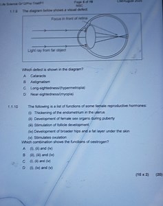 The diagram below shows a visual defect.Which defect is shown... | Filo