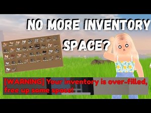 WHAT TO DO When You Don’t Have Any *INVENTORY SPACE* Left | Wild Horse Islands