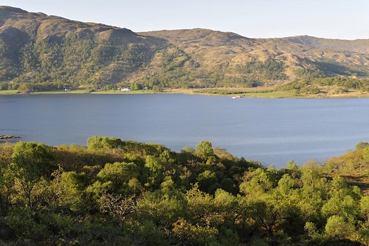 Marine Protected Areas (MPAs)