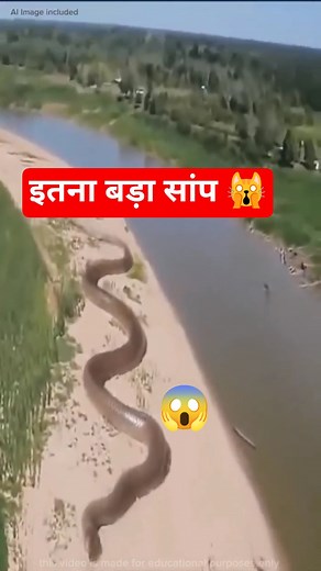 Green Anaconda 🐍 | दुनिया का सबसे भारी सांप | Green Anaconda Facts in Hindi