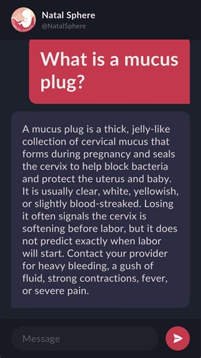 What is a mucus plug?