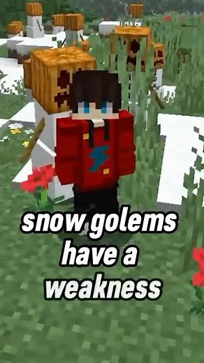 Snow Golems Have a Secret Weakness! 😳 😳