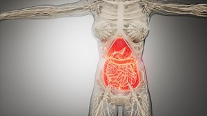 Human digestive system parts and functions | Premium Stock Video Footage