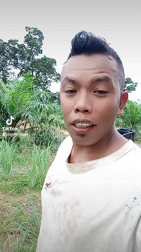 Agricultural Techniques for Effective Crop Management