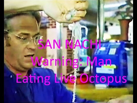 San Nachi - Warning: Man eating Octopus (Live Korean Sushi) The Travellers