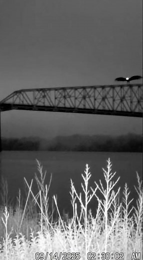 MOTHMAN Caught on Camera? Terrifying Bridge Encounter of Mothman Sightings, & Video Footage