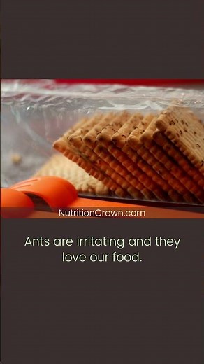 What happens if you Eat Ants by Accident? 😮 #Shorts