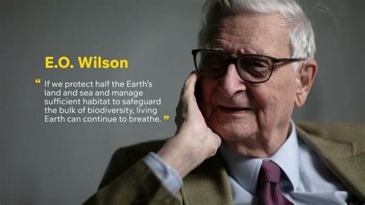 E.O. Wilson Biodiversity Foundation | Paula Ehrlich