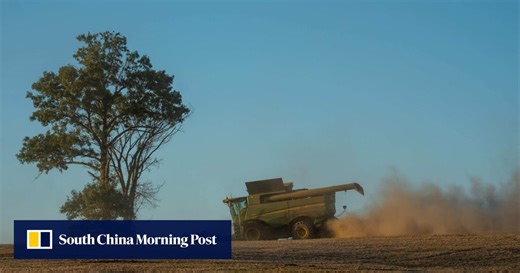 US soybean futures rebound on signs China is ramping up purchases