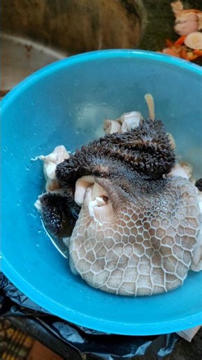 Making Goat Intestine Recipe ! #food #cooking #viral #recipe #goatintestinegravy #viralshortvideo